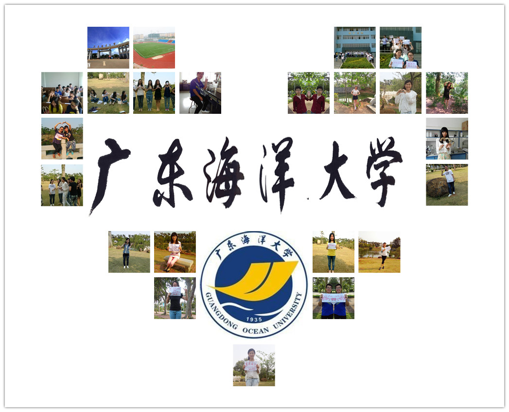 英国上市公司365